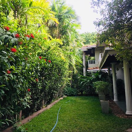 Hotel Sunflower كاتاراغاما المظهر الخارجي الصورة