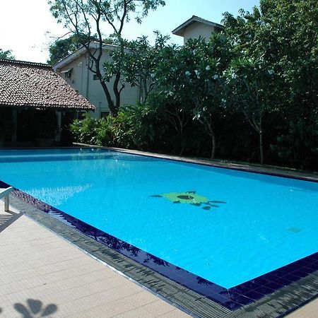 Hotel Sunflower كاتاراغاما المظهر الخارجي الصورة
