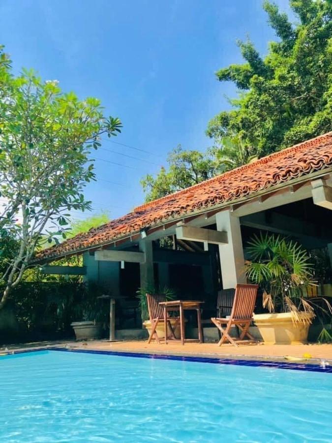 Hotel Sunflower كاتاراغاما المظهر الخارجي الصورة