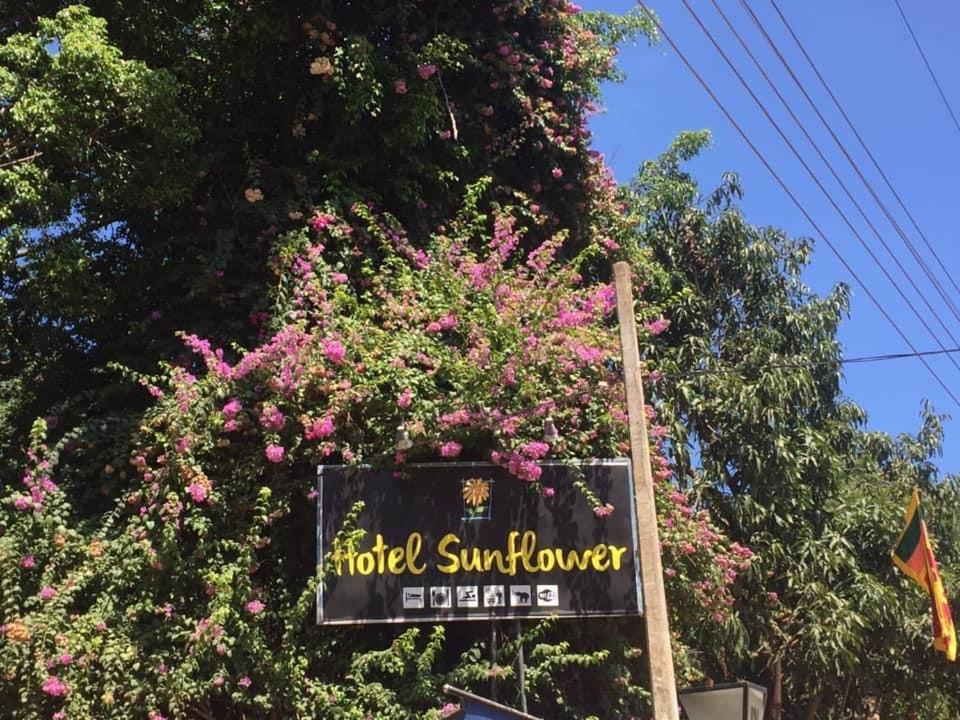 Hotel Sunflower كاتاراغاما المظهر الخارجي الصورة