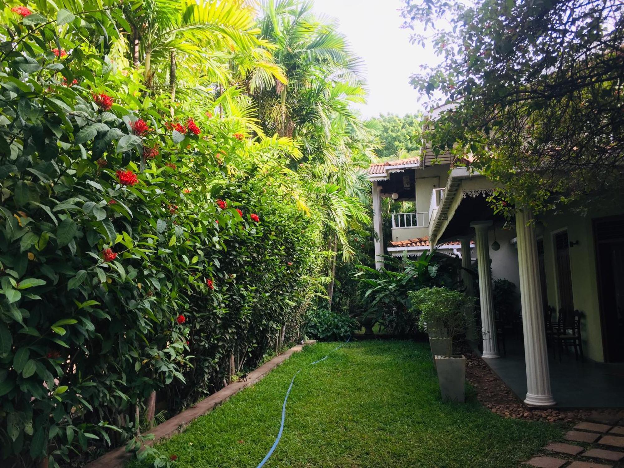 Hotel Sunflower كاتاراغاما المظهر الخارجي الصورة