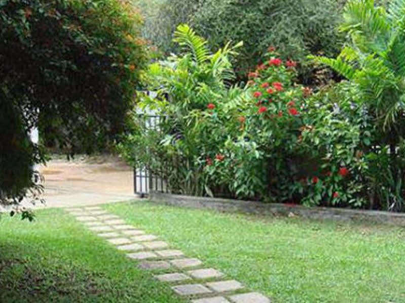 Hotel Sunflower كاتاراغاما المظهر الخارجي الصورة