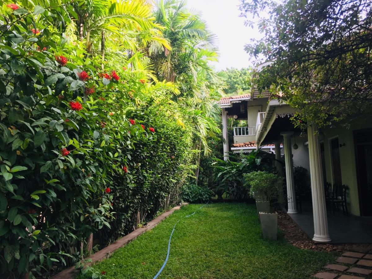 Hotel Sunflower كاتاراغاما المظهر الخارجي الصورة