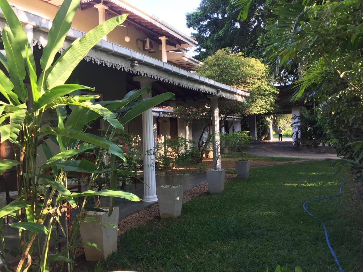Hotel Sunflower كاتاراغاما المظهر الخارجي الصورة
